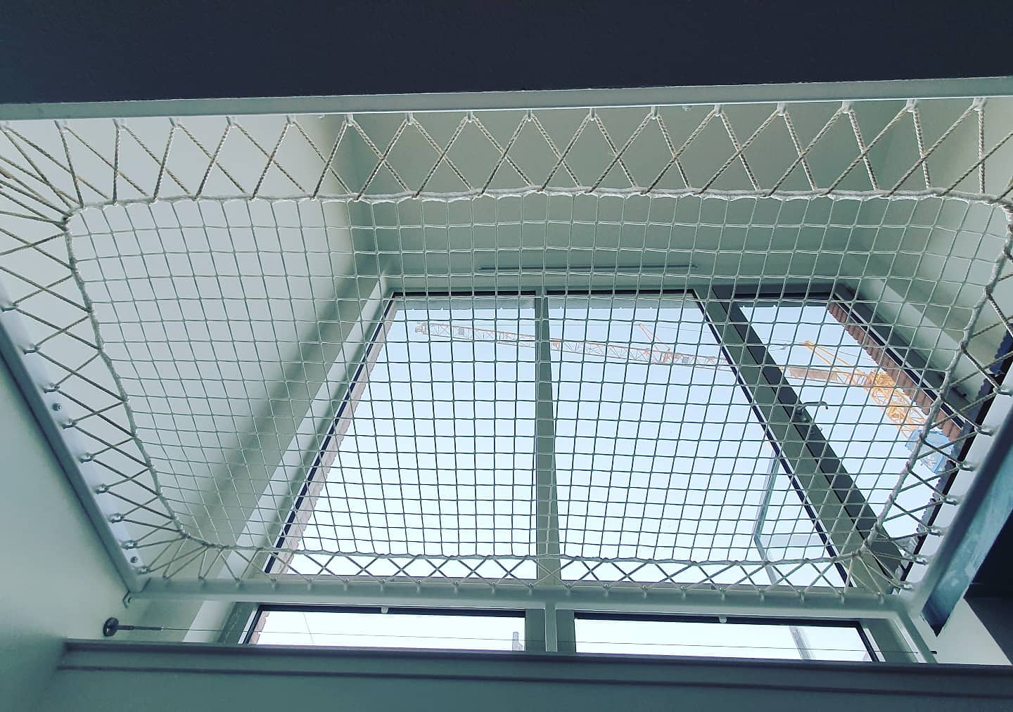 IMG_20200529_062342_337