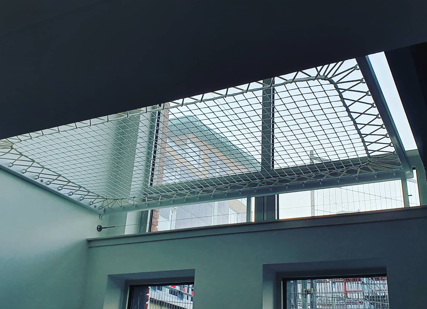 IMG_20200529_062526_138