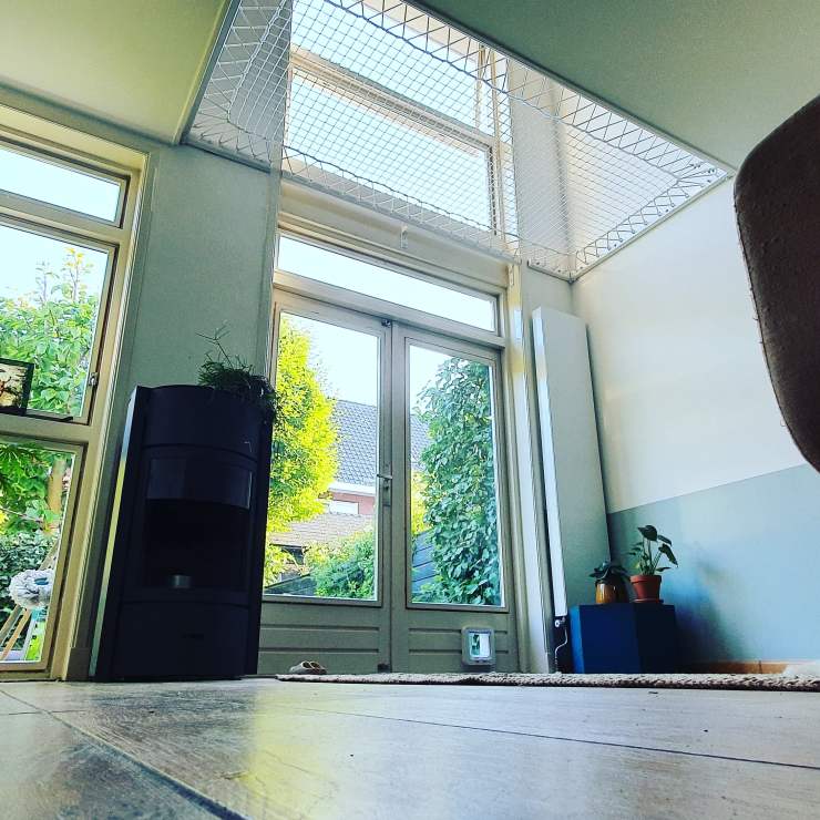 IMG_20200529_201709_702